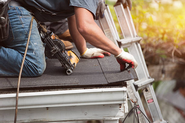 Best Roof Gutter Cleaning  in River Bend, NC
